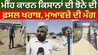 Samana News | ਮੀਂਹ ਕਾਰਨ ਕਿਸਾਨਾਂ ਦੀ ਝੋਨੇ ਦੀ ਫ਼ਸਲ ਖਰਾਬ, ਮੁਆਵਜ਼ੇ ਦੀ ਮੰਗ | Grain Market | N18V