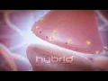 The endocannabinoid system CB1 retrograde signaling