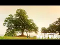 Download Lagu Aching (아리운) - Kassy (케이시) | Alchemy of Souls (환혼) OST Part 2 [FMV]