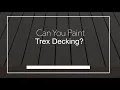 Can You Paint Trex Decking