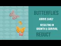 Project 4 Data Infographic