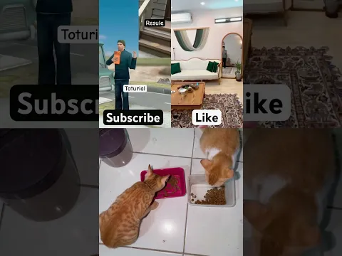 Like atau Subscribe??