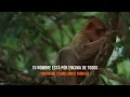 Holy Forever // Lyrics & Sub-Español // Chris Tomlin & Cain 🧡🎵