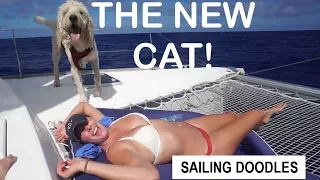 SAILING THE NEW CATAMARAN! – S1:E38