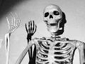 Pose-N-Stay Skeleton R I P Reviews