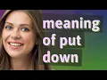 Put down meaning of Put down