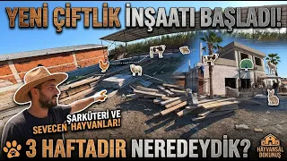 MÜŞTERİLERİN HAYVANLARLA BULUŞACAĞI YENİ ÇİFTLİK PROJEMİZ!