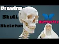 Download Lagu Is it permissible to draw skeleton, skull, butterfly in Islam? - assim al hakeem