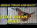 Download Lagu spesial TERAPI MALAM UNTUK Anis/PUNGLOR