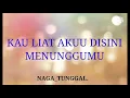 DJ KAU LIAT AKU DISINI SLOW TUNGGAL