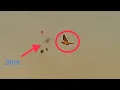 How to Lead Dove Dove Hunting with Shotkam and Yardage