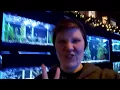 Bridges Pets Gifts Water Gardens - Vlogmas Day 16