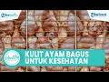 Download Lagu Mitos atau Fakta Kulit Ayam Baik untuk Kesehatan Tubuh? Begini Faktor Risikonya