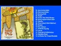 Download Lagu Iwan Fals - 15 Lagu Banjo \u0026 Harmonika (Full Album \u0026 HQ Audio)