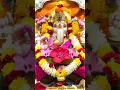 Download Lagu Jai Ganesh Jai Ganesh Deva Status | Jai Ganesh WhatsApp Status | #aarti #ganesh #viral #shorts
