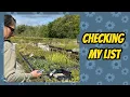Download Lagu Adding More Native Plants to My Garden: A Trip to Prairie Originals #nativeplants