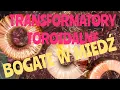 Download Lagu Dobra cena miedzi zachęca do demontażu transformatorów toroidalnych jak skutecznie to zrobić ?
