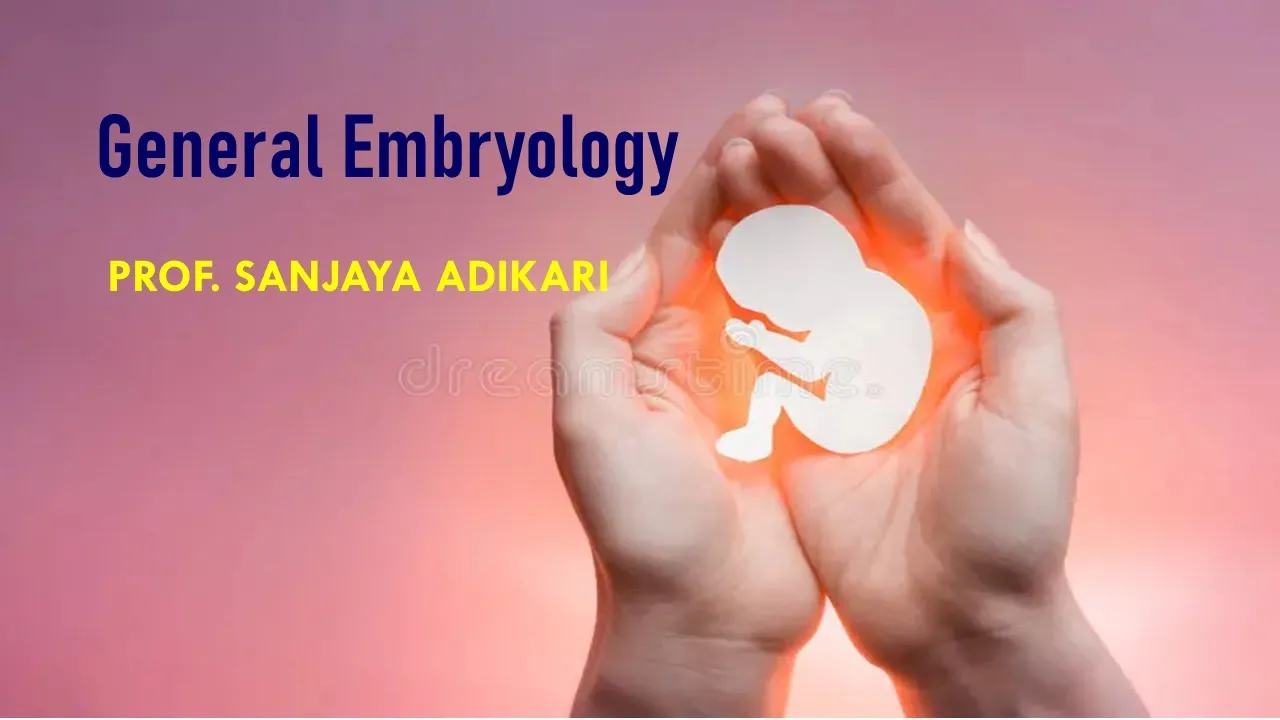General Embryology