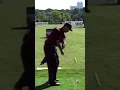 Tiger Woods 2004 - stock 8 iron swing 158 yards