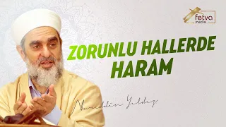 Zorunlu hallerde haram