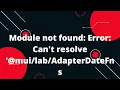 Module not found Error Can t resolve AdapterDateFns Material UI
