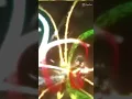 Download Lagu jedag jedug Boboiboy DJ jangan menjauh dariku