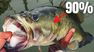 Download 90% of BASS FISHING in 15 Minutes MP3