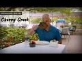 Restaurants Near Me Cherry Creek S1E15
