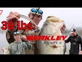 39 pounds caught on the new Berkley Lab Series Minnow