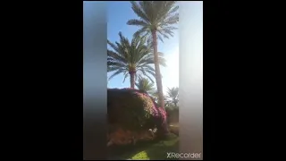 مشوارنا إلى موفنبيك العقبة 