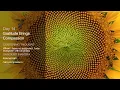 Download Lagu Day 14 gratitude Meditation ¦ Deepak Chopra