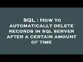 SQL How to automatically delete records in sql server after a certain amount of time