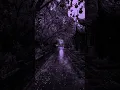 Download Lagu Say Yes to Heaven - Lana del rey | lyrics | aesthetic | whatsapp Status | slowed | speed up | audio
