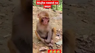 Dpboss matka Dpboss ko neend aa rahi hai