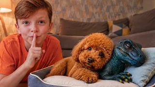 Leo Helps Dinosaur and Buddy the Dog Get Ready for Bed | Kids Story