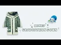 Money Origami Academic dress - Gown
