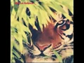 Download Lagu story wa macan