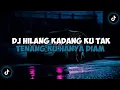 Download Lagu DJ HILANG KADANG KU TAK TENANG KU HANYA DIAM