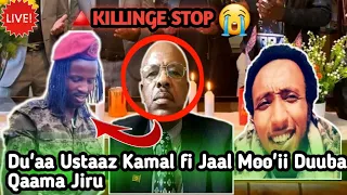 Oduu Amme Du A Ustaaz Kamal Hebboo Fi Jaal Moo Ii Duuba Qaama Jiru 