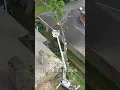 The CHEAPEST Tree Removal Bid