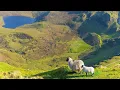 Be Thou My Vision  (Instrumental) - Celtic Traditional Beautiful Hymn - Arranged by Tim Janis