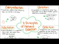 The 4 Principles of Natural Selection