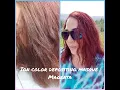 Ion Magenta Color Pigments Review