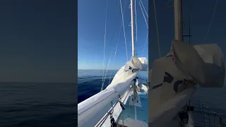 Adrift on the High Seas