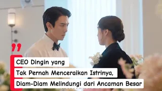 ceo dingin yang tak pernah menceraikan istrinya diam diam melindungi dari ancaman besar