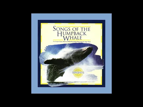 Download MP3 “Tower Whales” - Songs of the Humpback Whale