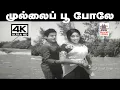 Download Lagu Mullai Poo Pole 4K Mullai Poo Pole Song TMS, P.சுசீலா பாடிய தெம்மாங்கு பாடல் முல்லை பூ போலே