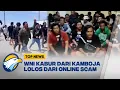 Lagu Top Topic - WNI Rusuh di Kamboja Usai Lolos dari Perusahaan Online Scam