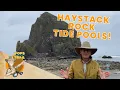 Pops on the Trail at Cannon Beach Oregon Haystack Rock Tide Pools Educational for Kids