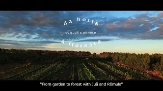 Da horta à floresta - From garden to forest